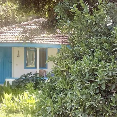 Vendégház Mila 3*
