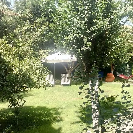 Mila Çıralı